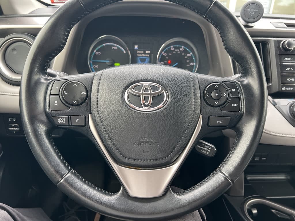 2017 Toyota RAV4 XLE 10