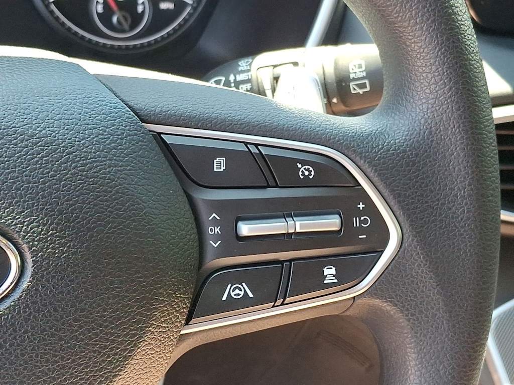 Thumbnail: 2022 Hyundai Santa Fe - 19