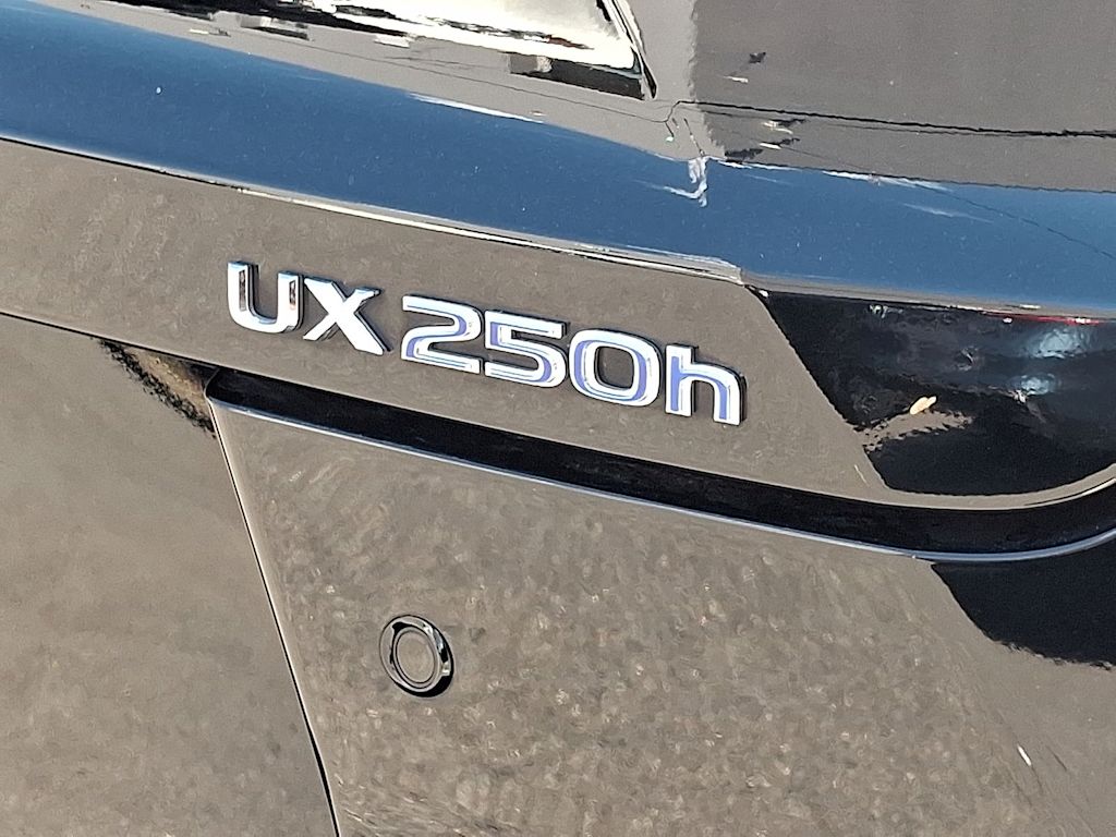 Thumbnail: 2021 Lexus UX - 7