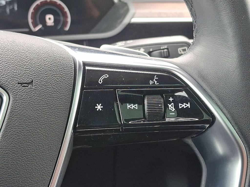 2022 Audi e-tron Premium 22