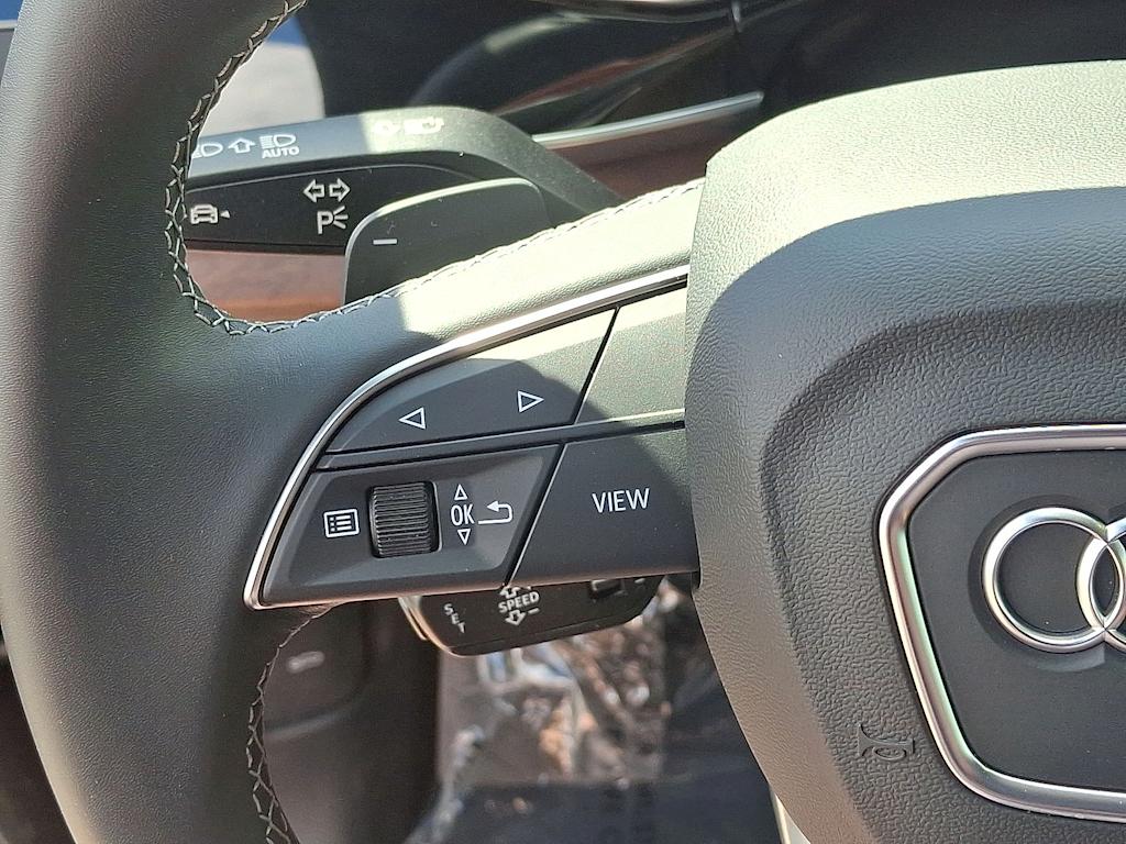 Thumbnail: 2025 Audi Q8 - 21