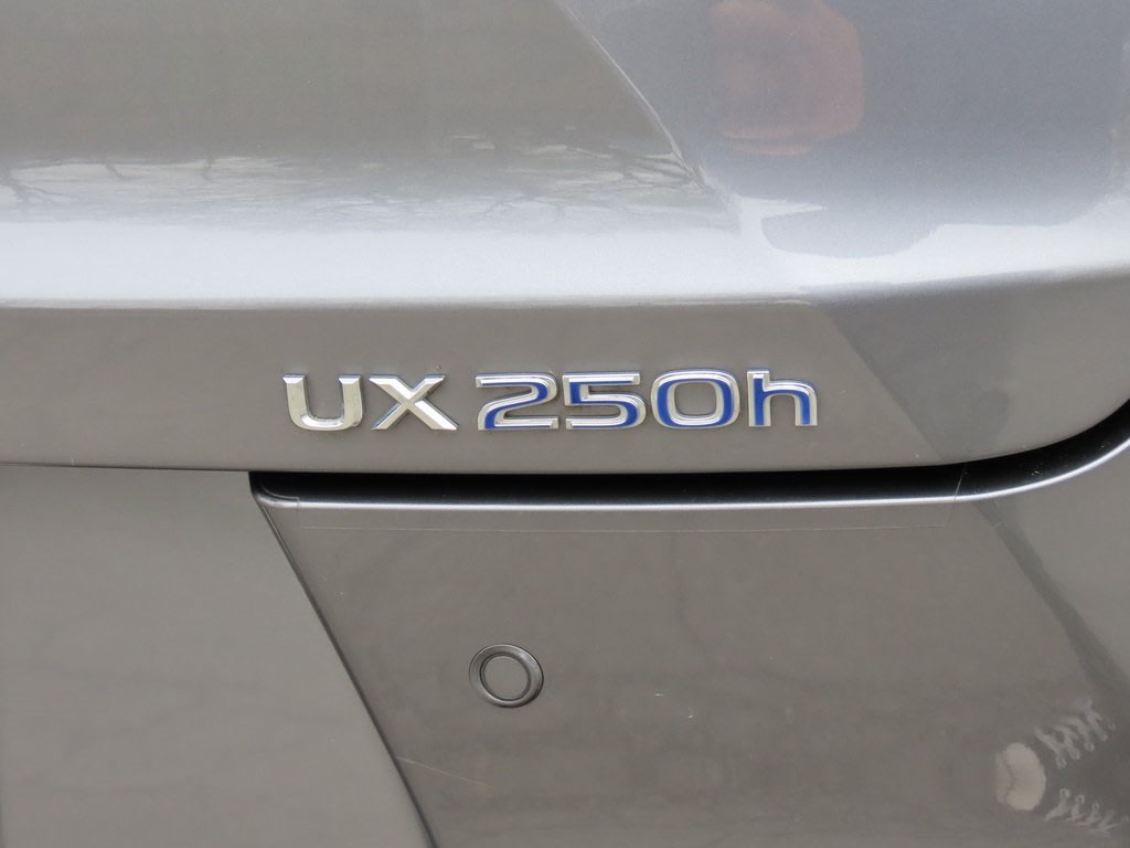 2020 Lexus UX 250h 5
