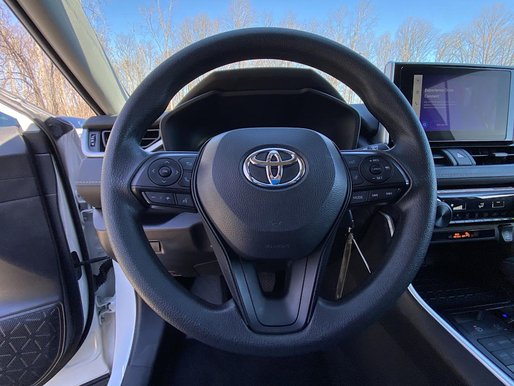 Thumbnail: 2025 Toyota RAV4 - 10