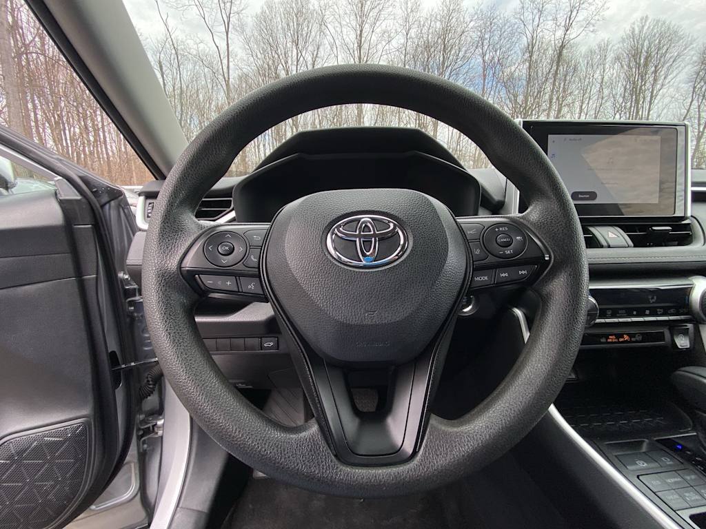 Thumbnail: 2025 Toyota RAV4 - 11