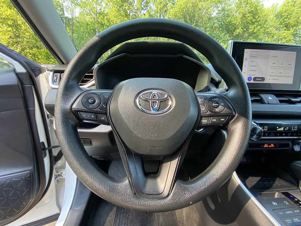 Thumbnail: 2025 Toyota RAV4 - 9