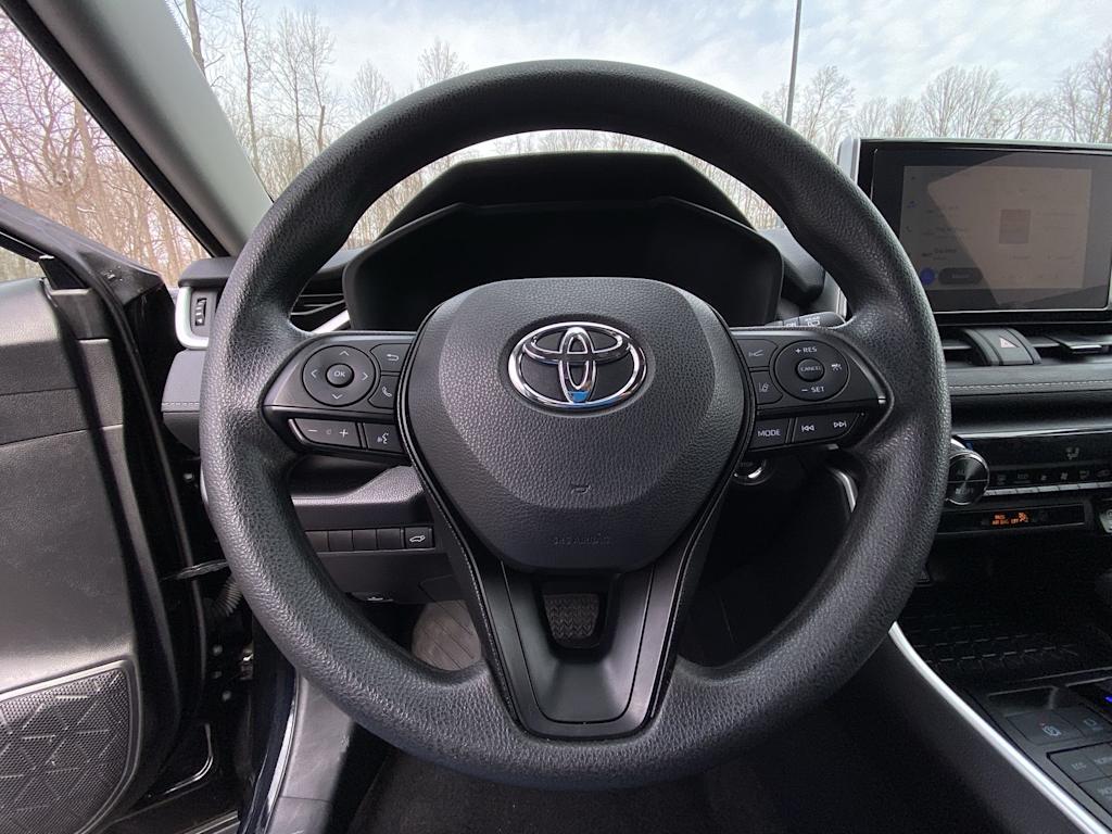 Thumbnail: 2025 Toyota RAV4 - 10