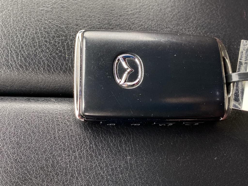 Thumbnail: 2022 Mazda CX-9 - 16