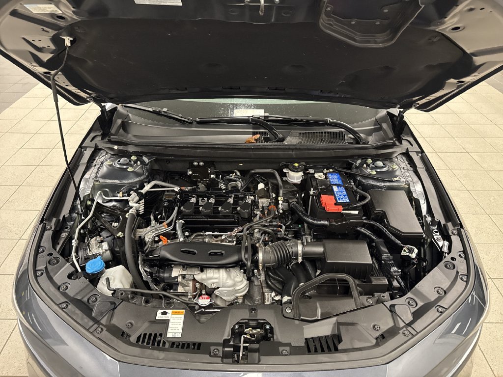 Thumbnail: 2024 Honda Accord - 7