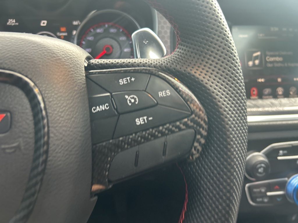 Thumbnail: 2016 Dodge Charger - 22