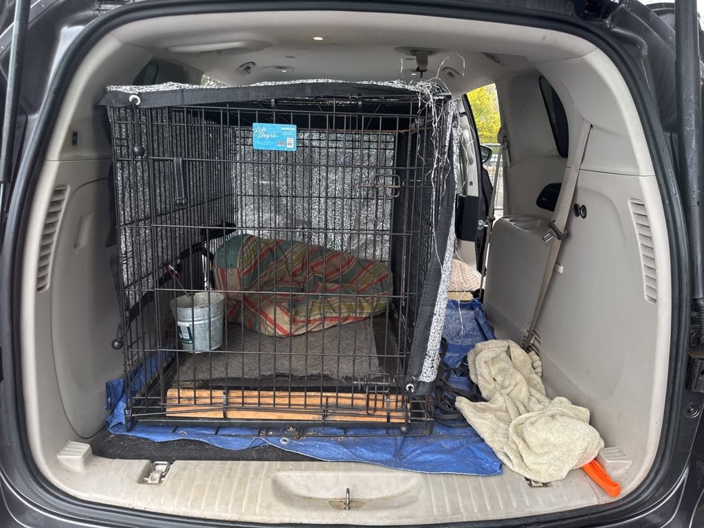 Thumbnail: 2017 Chrysler Pacifica - 21