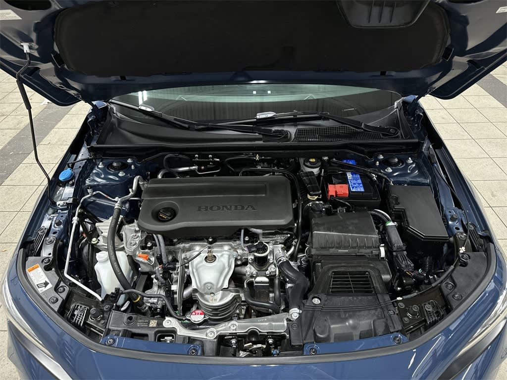 View 8