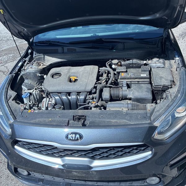 Thumbnail: 2019 Kia Forte - 8