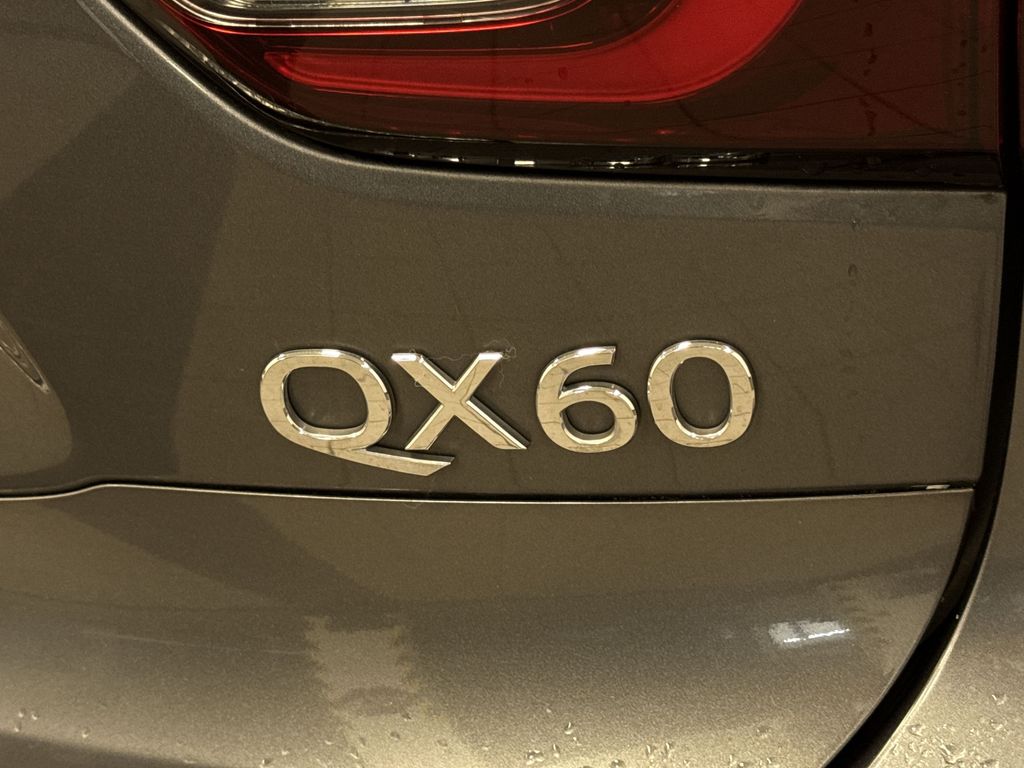 Thumbnail: 2019 INFINITI QX60 - 31