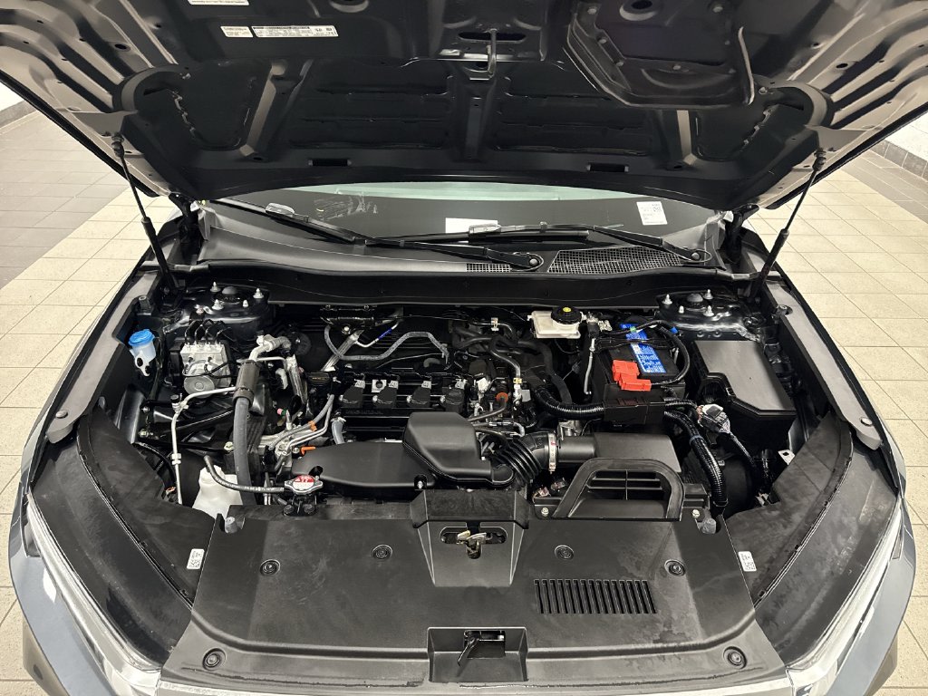 Thumbnail: 2025 Honda CR-V - 6