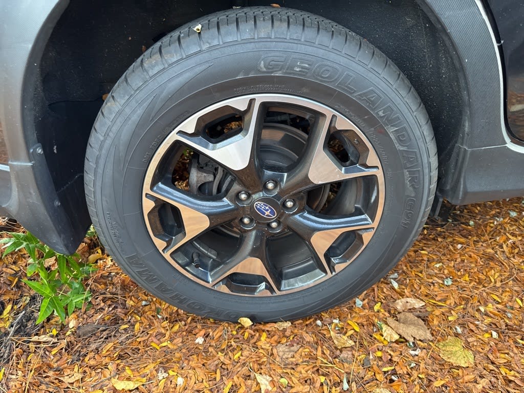 Thumbnail: 2019 Subaru Crosstrek - 25