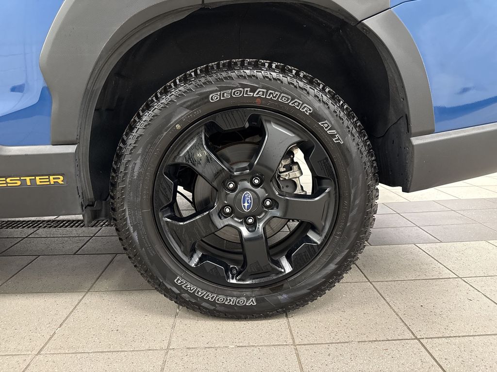 Thumbnail: 2024 Subaru Forester - 7