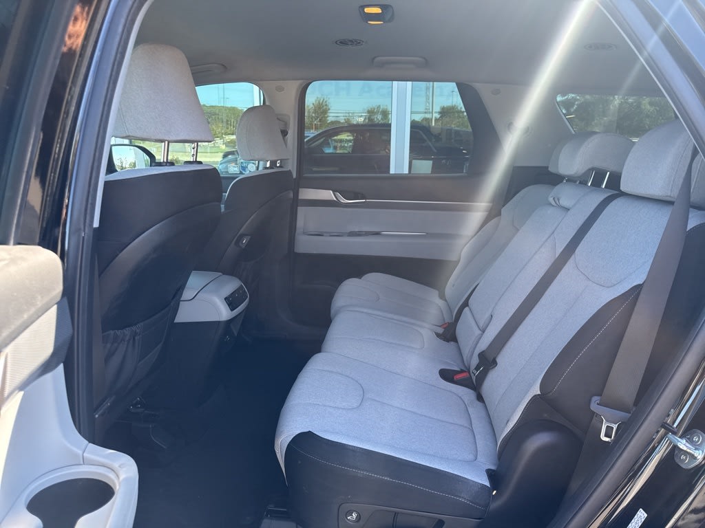 Thumbnail: 2020 Hyundai Palisade - 10