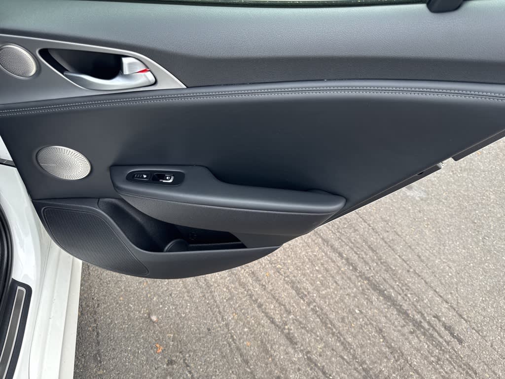 Thumbnail: 2019 Kia Stinger - 22