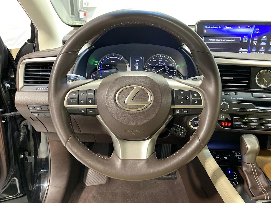 2019 Lexus RX Hybrid 450h 13