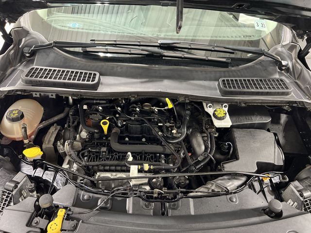 Thumbnail: 2019 Ford Escape - 8