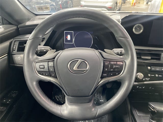 2022 Lexus ES 250 10