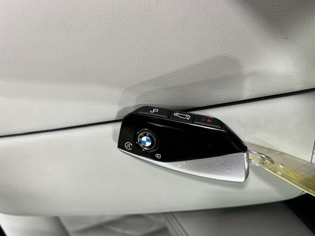 Thumbnail: 2024 BMW X7 - 30
