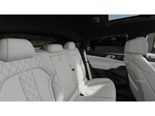 Thumbnail: 2025 BMW X6 - 14