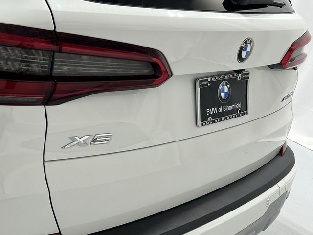 Thumbnail: 2019 BMW X5 - 7