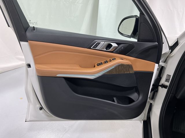 Thumbnail: 2019 BMW X5 - 30