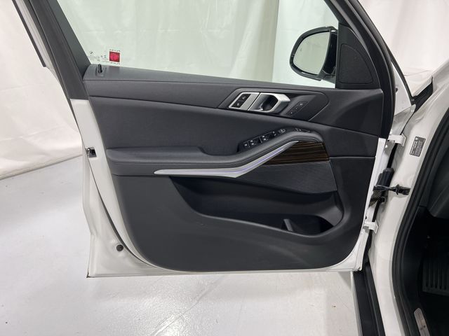 Thumbnail: 2019 BMW X5 - 31