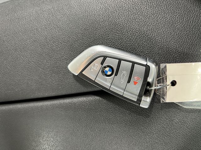 Thumbnail: 2019 BMW X5 - 17