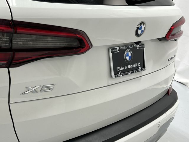 Thumbnail: 2019 BMW X5 - 25