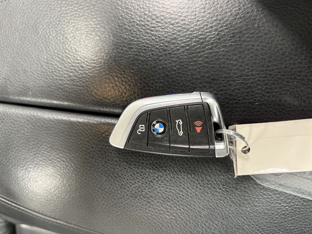 Thumbnail: 2016 BMW X5 - 18