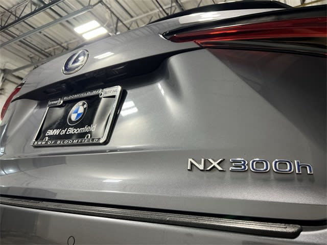 2020 Lexus NX Hybrid 300h 7