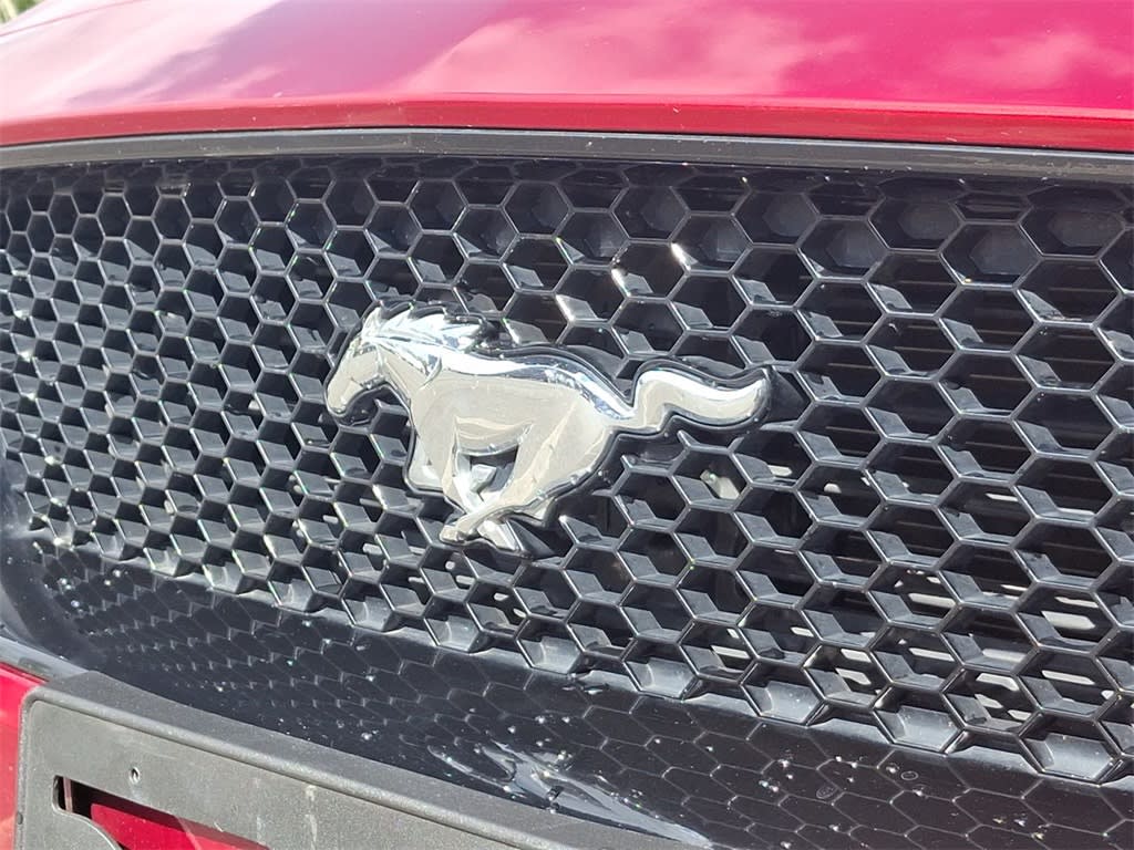 Thumbnail: 2019 Ford Mustang - 5