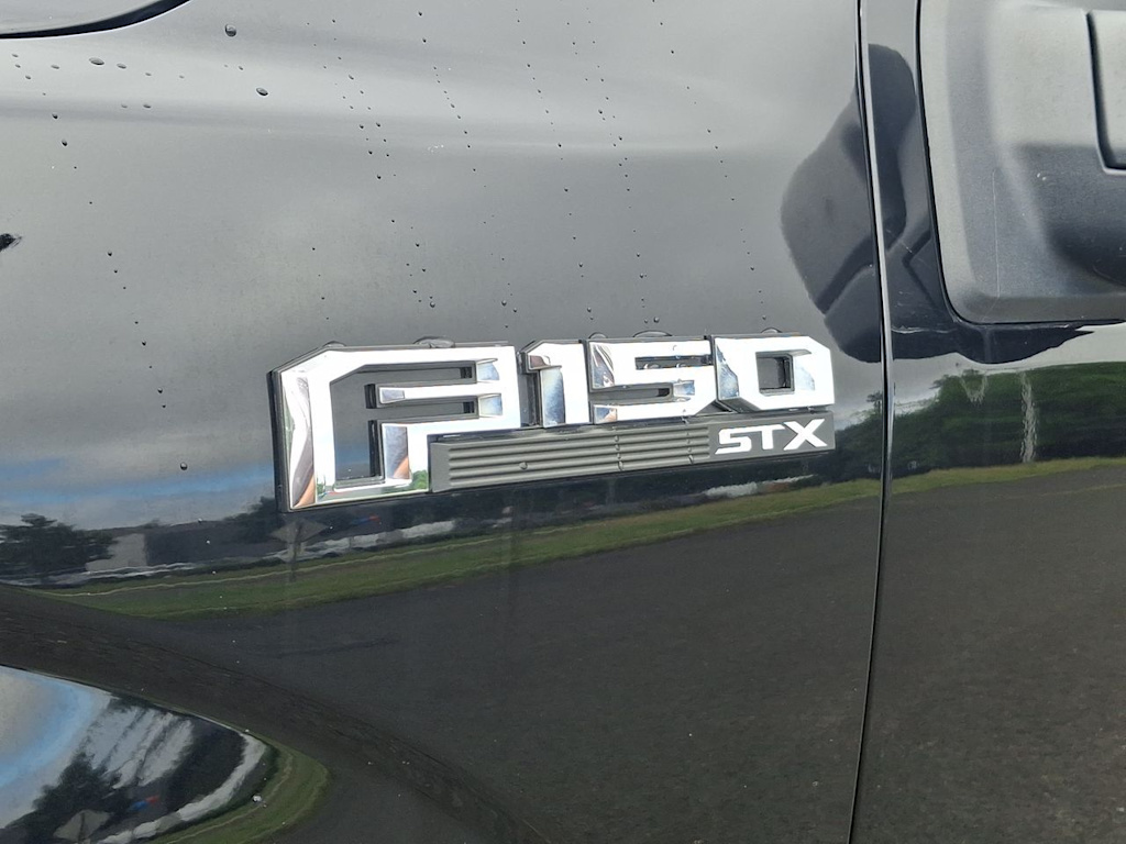 Thumbnail: 2019 Ford F-150 - 29