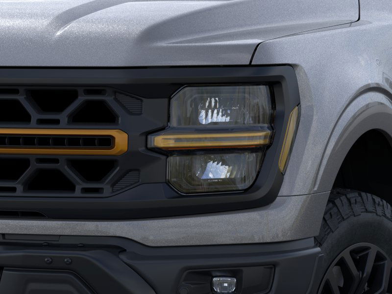 2025 Ford F-150 Tremor 19