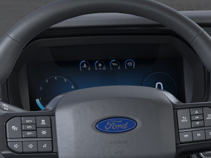 2025 Ford F-150 Platinum 11