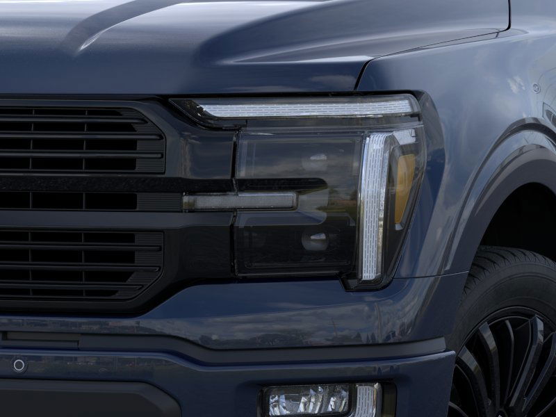 2025 Ford F-150 Platinum 19
