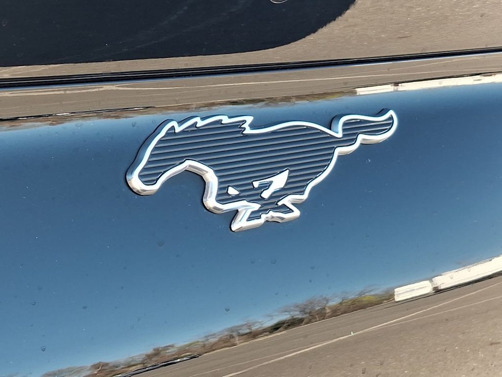 Thumbnail: 2024 Ford Mustang Mach-E - 5