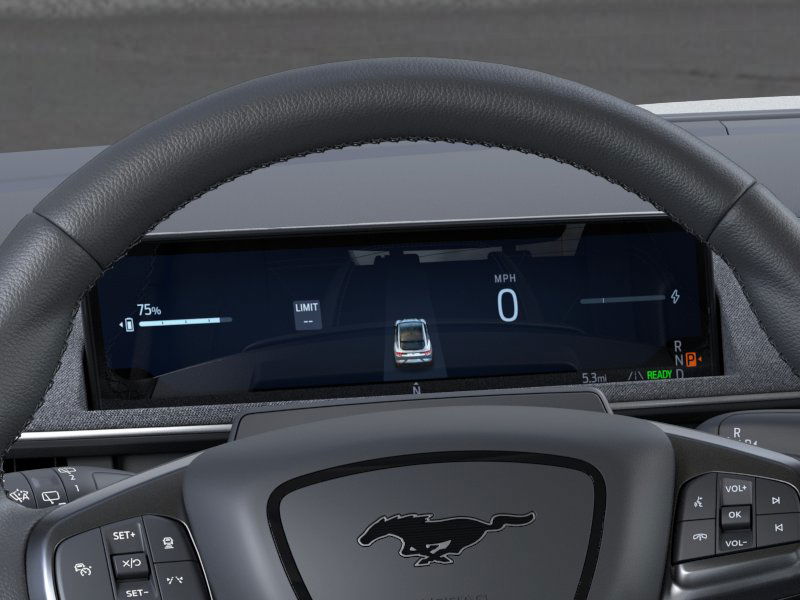 2025 Ford Mustang Mach-E Premium 17
