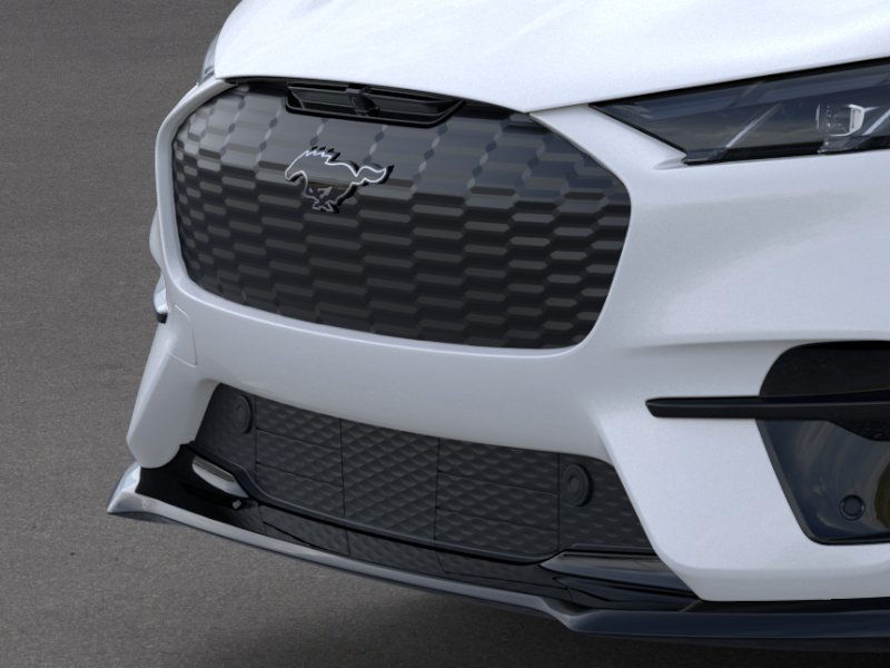 2025 Ford Mustang Mach-E Premium 18