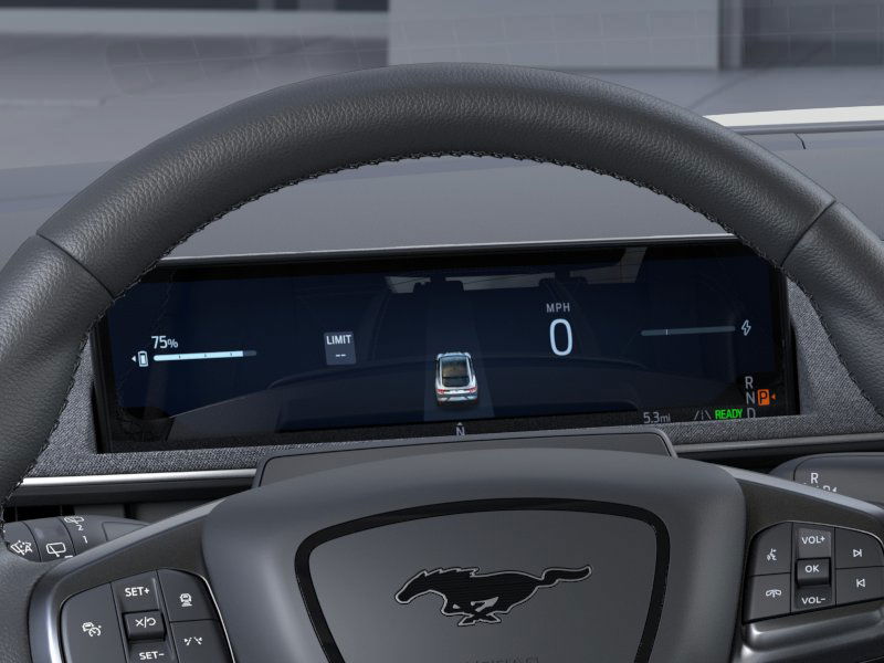 2025 Ford Mustang Mach-E Premium 18