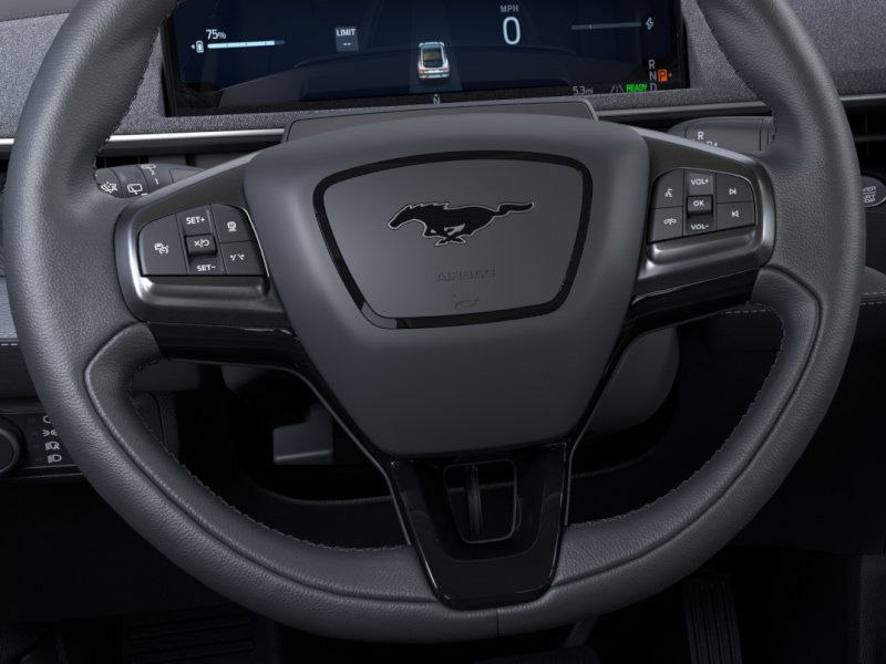 2025 Ford Mustang Mach-E Premium 17