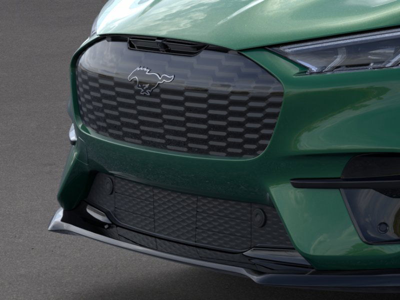 2025 Ford Mustang Mach-E GT 19