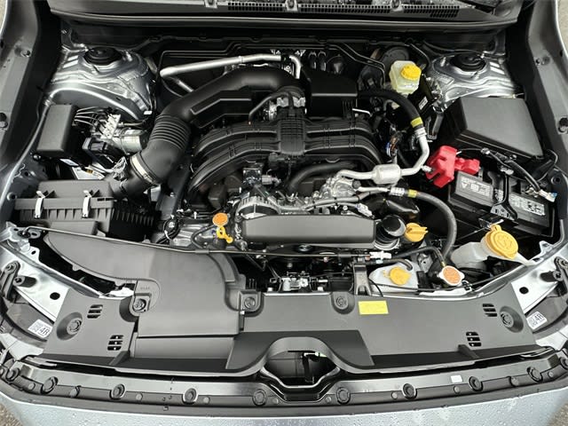 Thumbnail: 2025 Subaru Crosstrek - 8