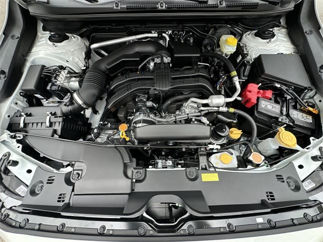 Thumbnail: 2025 Subaru Crosstrek - 8