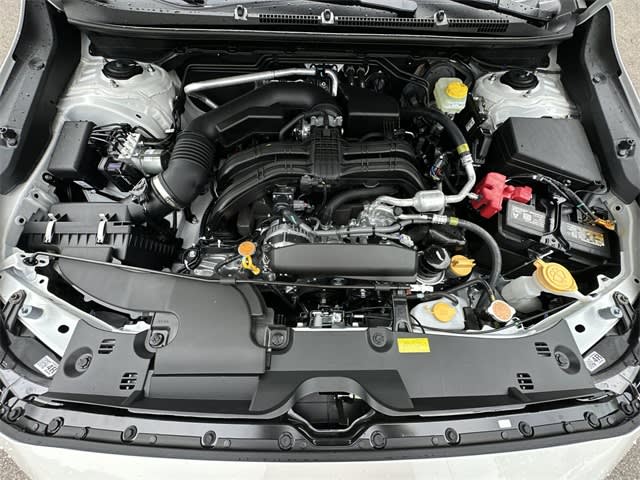 Thumbnail: 2025 Subaru Crosstrek - 9