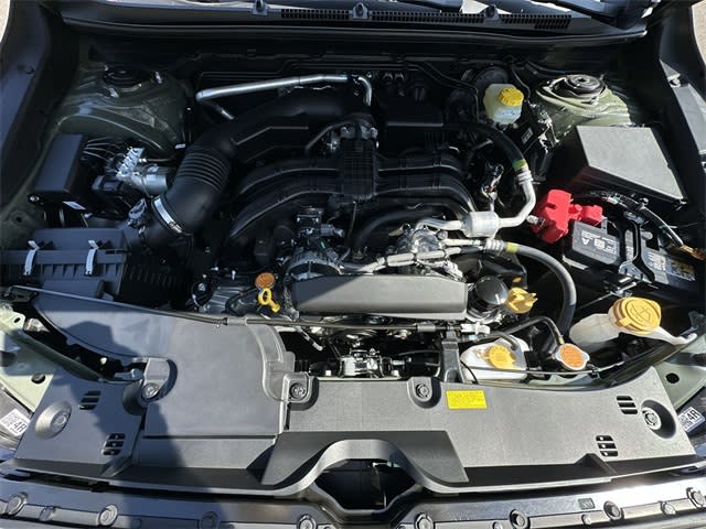 Thumbnail: 2025 Subaru Crosstrek - 9