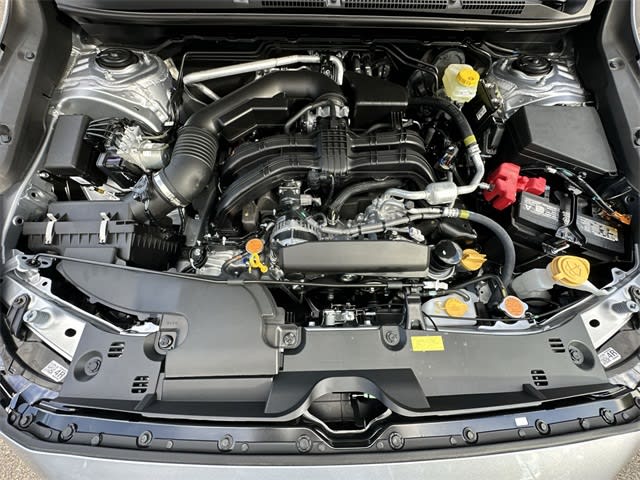 Thumbnail: 2025 Subaru Crosstrek - 9